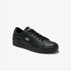 Кроссовки LACOSTE, размер T8, черный