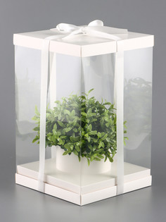 Коробка pvc, для цветов с лентой, 28×18×18 см, белый No Brand