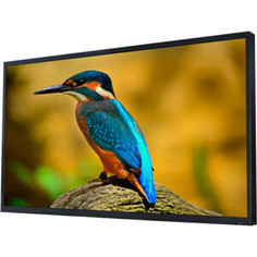 LED Телевизор AVEL AVS550OT