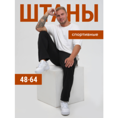 Брюки спортивные , размер 48, черный Paolino