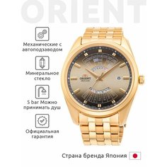 Наручные часы ORIENT Contemporary, коричневый/золотой