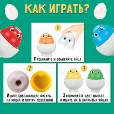Сортер Iq Zabiaka