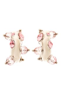 Серьги Dries Van Noten
