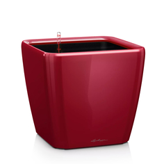 Кашпо с автополивом Lechuza "Quadro LS Complete scarlet red high gloss" , 21x21xH20 см Ярко-красный блестящий