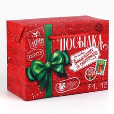 Пакет - коробка Дарите счастье