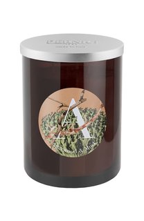 Свеча Agarwood & Musk (900g) Pernici