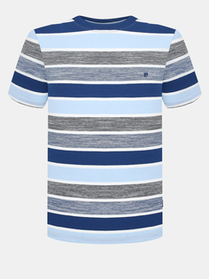 Футболки Pierre Cardin