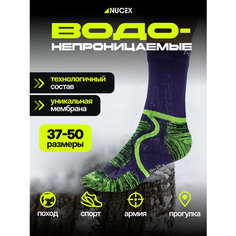 Носки NUCEX, размер S, фиолетовый, зеленый