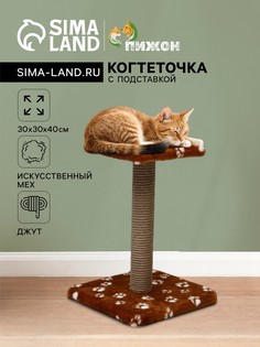 Когтеточка Пижон