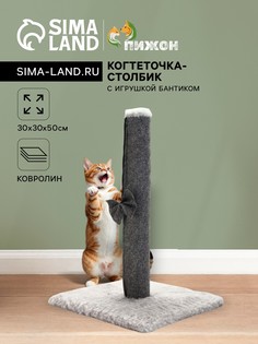 Когтеточка-столбик Пижон