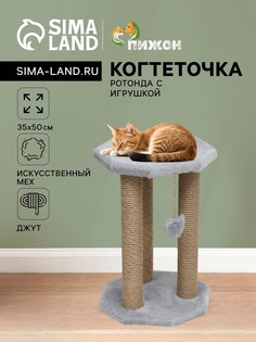 Когтеточка Пижон