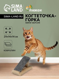 Когтеточка Пижон