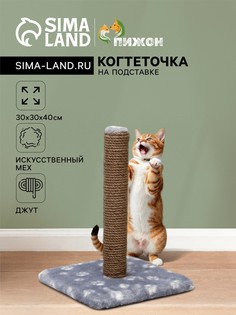 Когтеточка Пижон