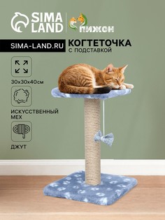 Когтеточка Пижон