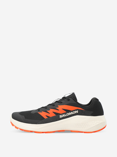 Кроссовки мужские Salomon Alphaglide, Черный