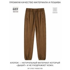 Брюки спортивные OFF STREET, размер XL, коричневый