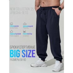 Брюки джоггеры MR. BIGMAN Коллекция MB больших размеров, размер 62, темно-синий