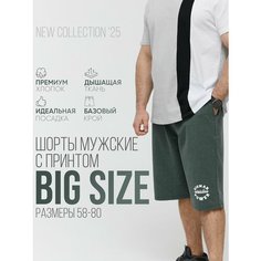 Шорты MR. BIGMAN большие размеры 58-80, размер 58, хаки