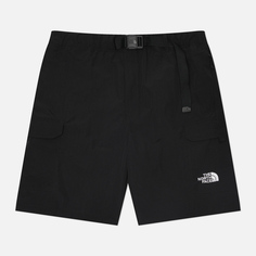 Мужские шорты The North Face NSE, цвет чёрный, размер S