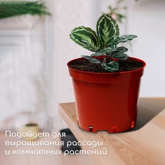 Горшок для рассады, 10 л, d = 29 см, h = 22,5 см, терракот, greengo