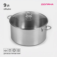 Кастрюля доляна