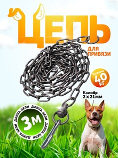 Цепь для привязи собак, 3 м, калибр 3 х 21 мм, черная No Brand