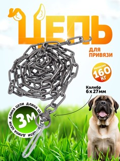 Цепь для привязи собак, 3 м, калибр 6 х 27 мм, черная No Brand