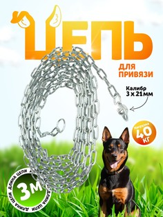 Цепь для привязи собак, 5 м, калибр 3 х 21 мм, белая No Brand
