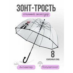Зонт-трость , прозрачный Ra Infall & Ra Inbow