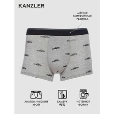 Трусы KANZLER, размер L, светло-серый