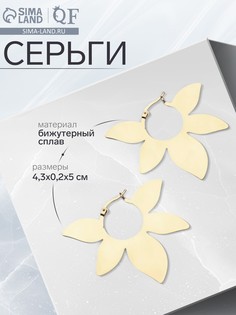 Серьги металл QF