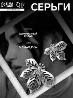 Серьги металл QF