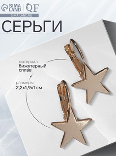 Серьги металл QF
