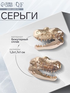 Серьги металл QF