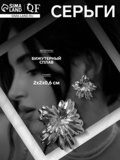 Серьги металл QF