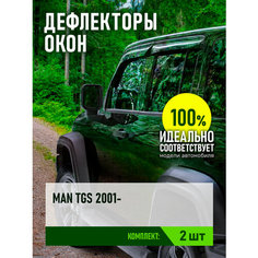 Дефлекторы для MAN TGS 2007- дымка (2 шт.), накладной / Ман ТГС Rein