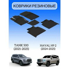 Коврики резиновые в салон для Tank 500 / Коврики с высоким бортом для Танк 500 Sei Ntex