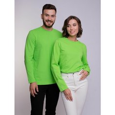 Лонгслив Uzcotton Premium, размер 42-44\XS, , лайм