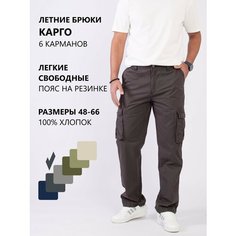 Брюки карго RAREBONE, размер 5XL-RU 58, графит