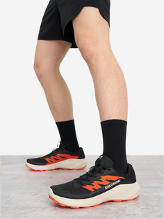 Кроссовки мужские Salomon Alphaglide, Черный