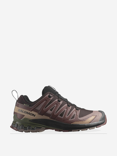 Кроссовки Salomon XA PRO 3D V9 GTX, Коричневый