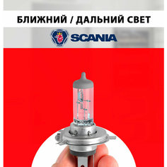 Лампочка ближнего и дальнего света для Скания / Лампа Scania галогенная 1 шт h4 Нет бренда