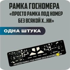 Рамка для номеров автомобиля "Просто рамка под номер без всякой х. и" 1шт. Нет бренда