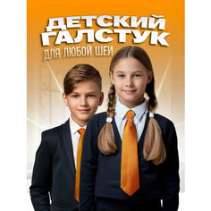 Галстук 2beMan, оранжевый