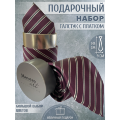 Галстук Maestro, 2 шт., фиолетовый