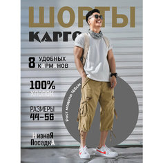 Шорты Modniki, размер XL-52, темно-бежевый