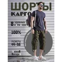 Шорты Modniki, размер XL-52, Khaki