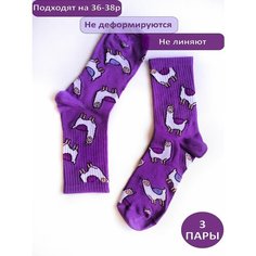 Носки Happy Frensis, комплект, 3 пары, размер 36/41, фиолетовый