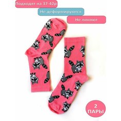 Носки Happy Frensis, комплект, 2 пары, размер 38/41, розовый