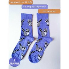Носки Happy Frensis, комплект, 2 пары, размер 38/41, фиолетовый